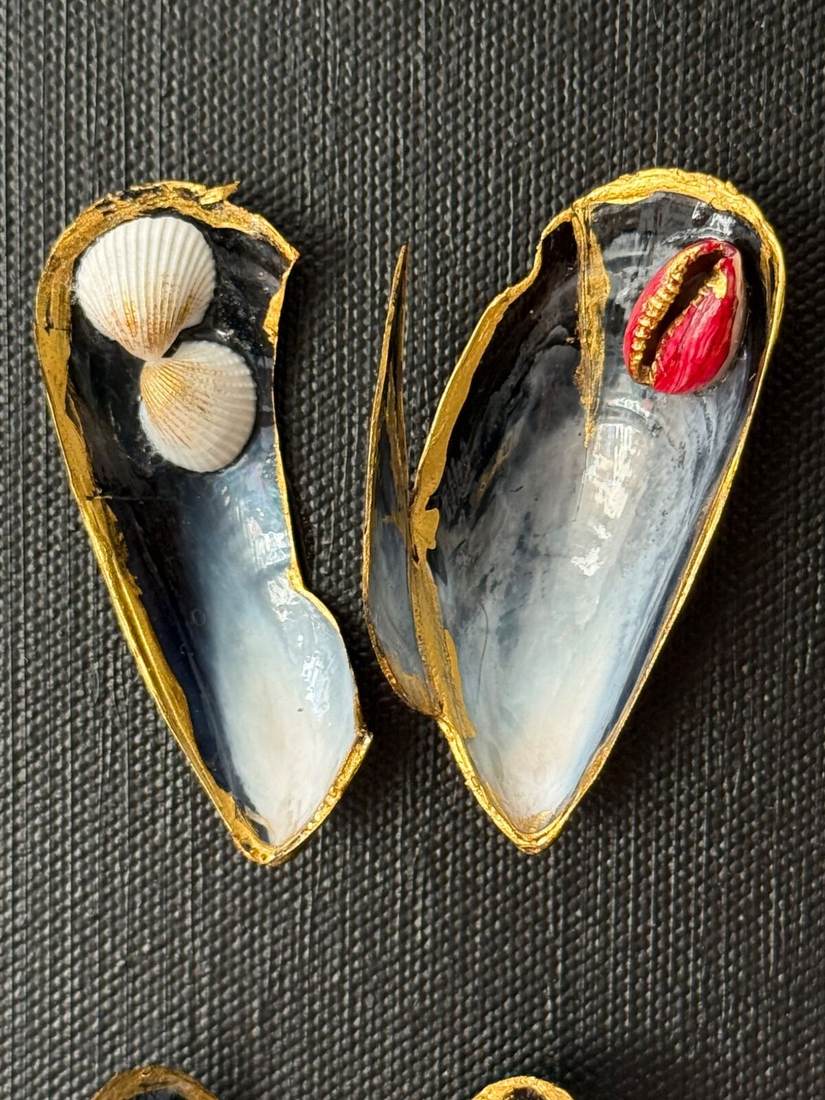 Close-up view of Max's Muscles showing texture and spacing of the shells