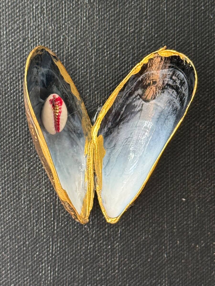 Close-up of Max's Muscles showing intimate shell-heart detail